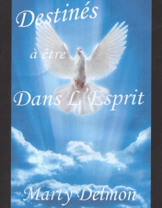 Destinés à Etre dans l'Esprit - Marty Delmon