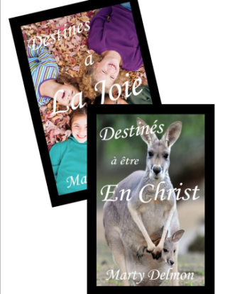 Lot Spécial: Destinés à La Joie et Destinés à être en Christ