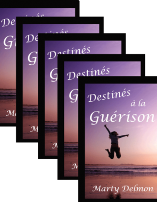 Destinés à la Guérison. Marty Delmon. Lot de 5