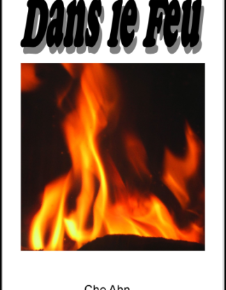 Dans le feu, Ché Ahn